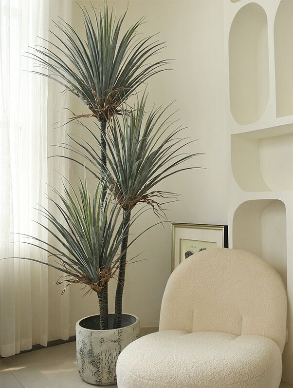 Cây máu rồng giả, cây cảnh giả, cây giả decor, cây giả