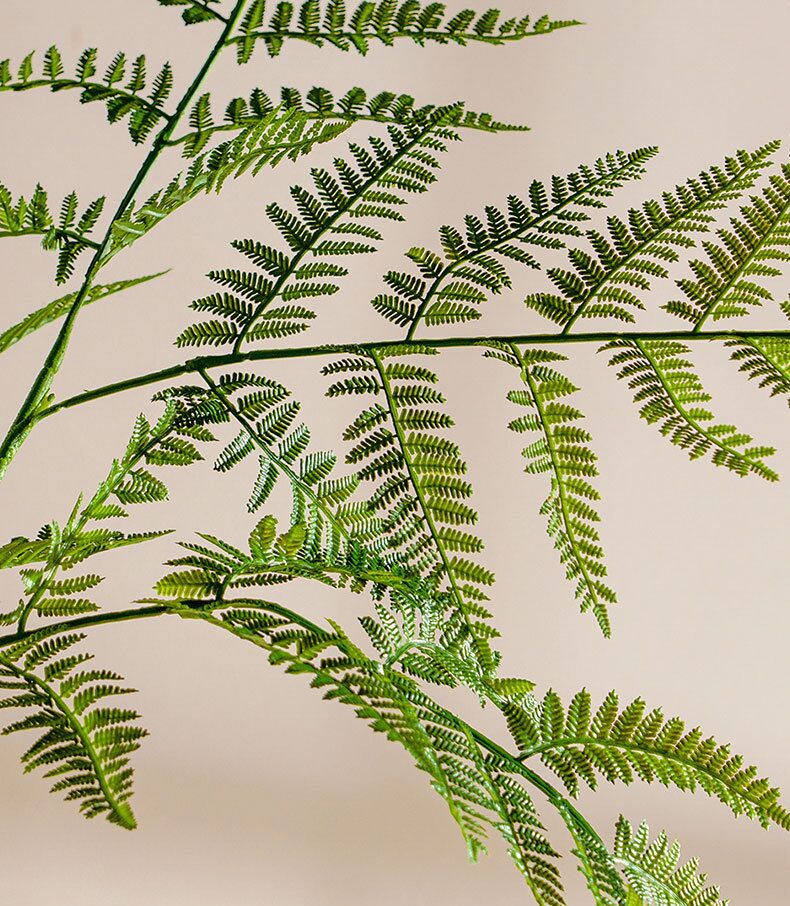 Câydương xỉ giả, cây cảnh giả, cây giả decor, cây giả