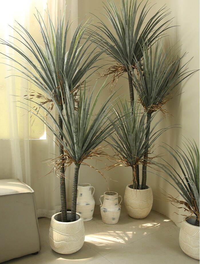 Cây máu rồng giả, cây cảnh giả, cây giả decor, cây giả