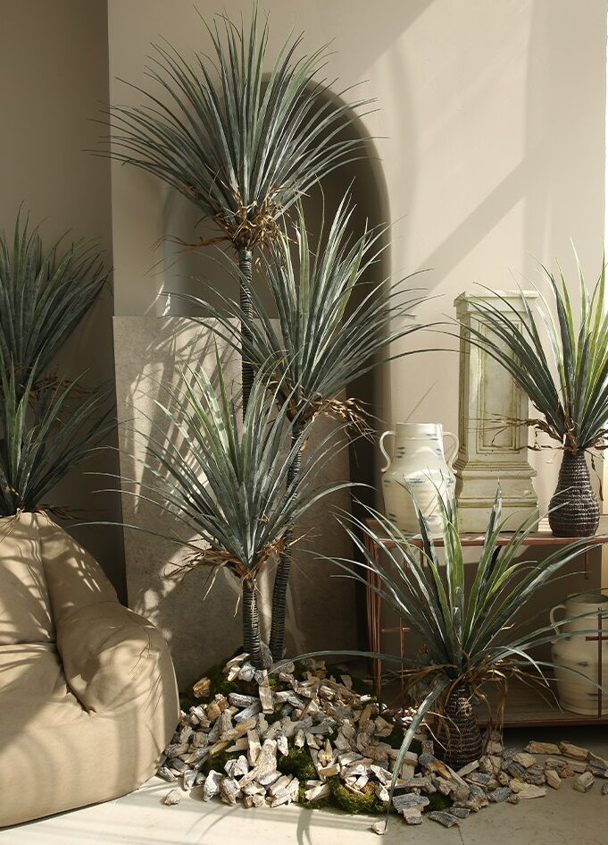 Cây máu rồng giả, cây cảnh giả, cây giả decor, cây giả