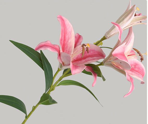 Hoa LY giả, hoa decor trang trí nhà cửa, hoa giả