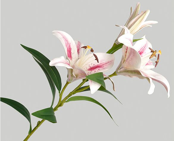 Hoa LY giả, hoa decor trang trí nhà cửa, hoa giả