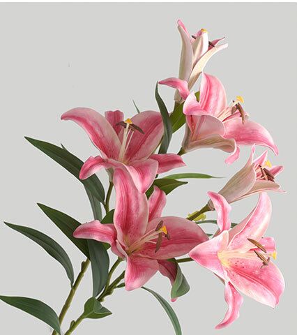 Hoa Ly giả, hoa decor trang trí nhà cửa, hoa giả