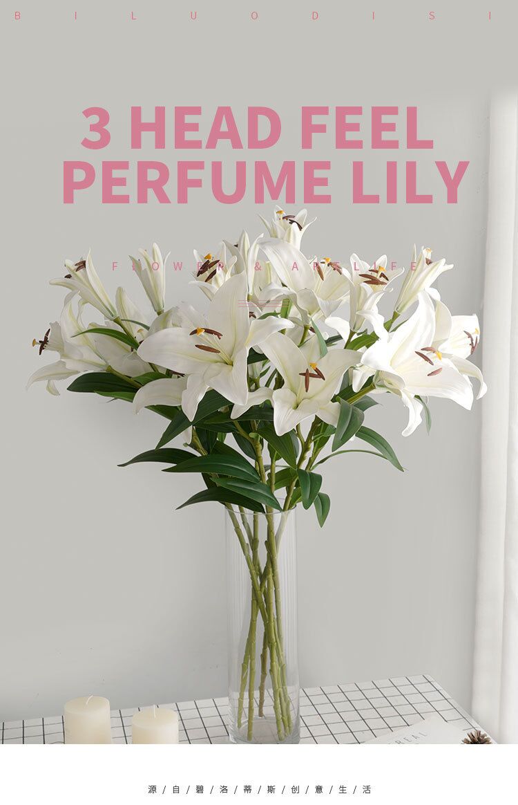 Hoa ly trắng Hoa ly trắng