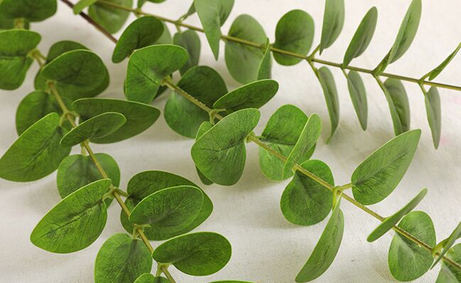 Cành khuynh diệp giả, cành cây giả trang trí