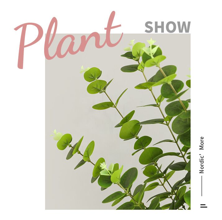 Cành khuynh diệp giả, cành cây giả trang trí