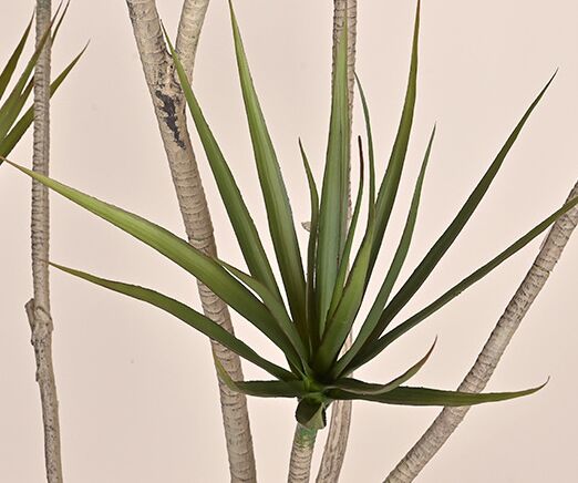 thiên niên kỷ sa mạc giả, cành cây giả, cành giả, cây giả