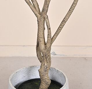 thiên niên kỷ sa mạc giả, cành cây giả, cành giả, cây giả