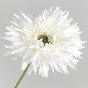 Hoa đồng tiền giả trang trí nhà cửa