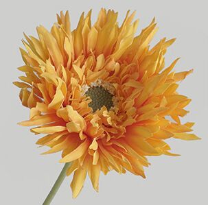 Hoa đồng tiền giả trang trí nhà cửa