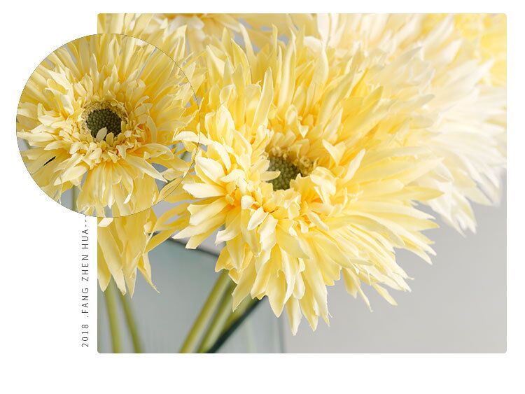 Hoa đồng tiền giả trang trí nhà cửa