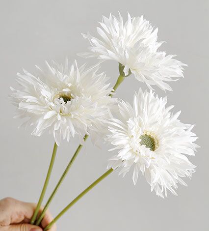 Hoa đồng tiền giả trang trí nhà cửa