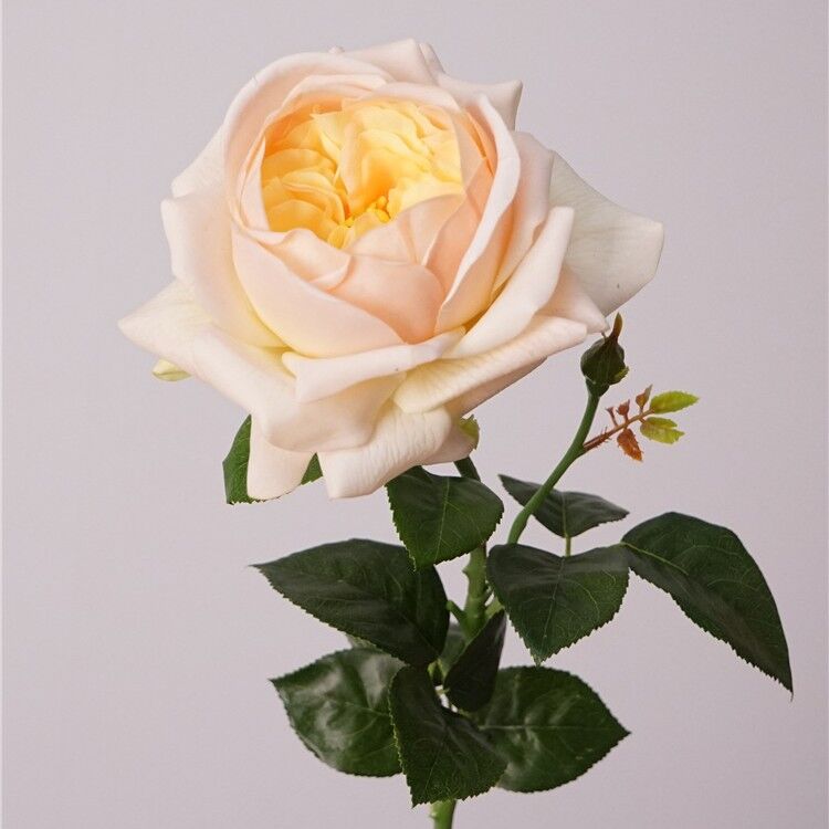 Hoa hồng giả, hoa giả, hoa giả trang trí nhà cửa