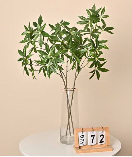 Cành kim ngân giả